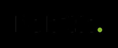 Logo Deloitte
