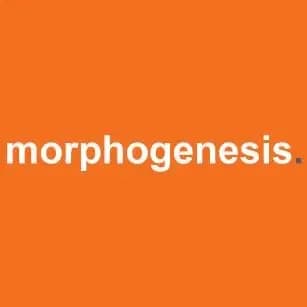 Logo Morphogenesis