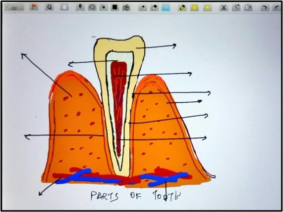 Digital Exam Pad