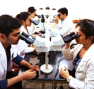 Research & Innovation Research & Innovation