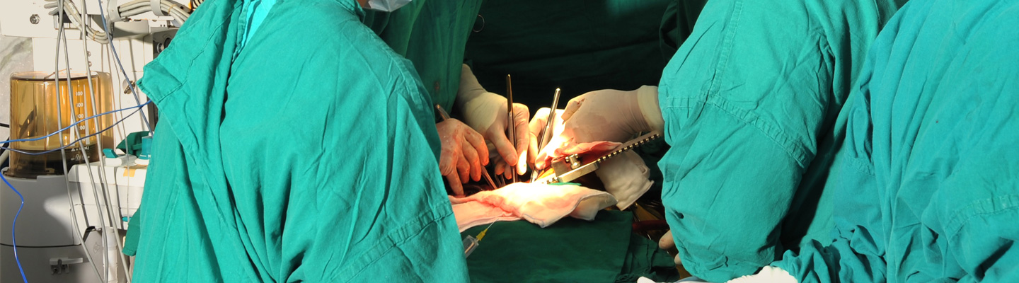 kmc surgery