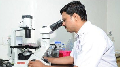 phd in pharmacy practice in india