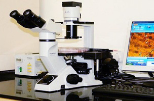 Department of Pharmaceutical Biotechnology