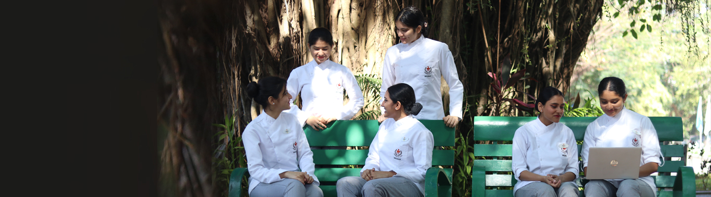 Bachelor of Arts in Culinary Arts Course BA Culinary Arts course